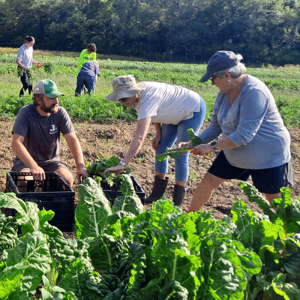 End hunger by gleaning fields and preventing waste