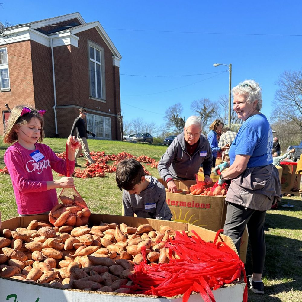 volunteers sort and bag potatoes at their church